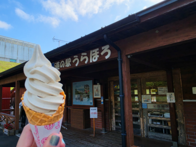 ☆超インドアの休日☆